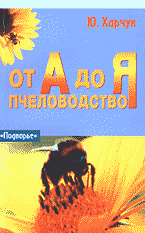 128968-9768563