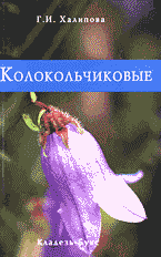 133912-5621399