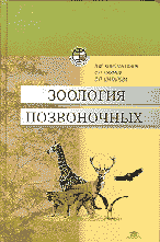 Образование и наука. Биология. Зоология позвоночных.