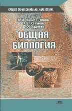 52409-4367451