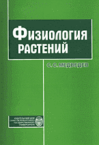 78860-6935306