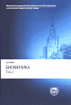 95158-3779442