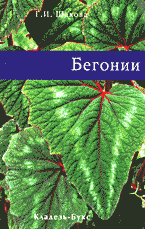 Дом. Быт. Досуг. Семья. Растения. Бегонии..