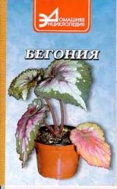 Дом. Быт. Досуг. Семья. Растения. Бегония (Begonia). Семейство — бегониевые.