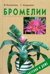 Дом. Быт. Досуг. Семья. Растения. Бромелии.