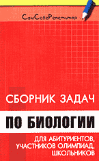 104199-3777795