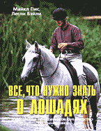 127006-5011339