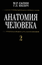 131168-5449560