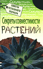 142350-5337781