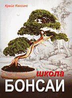 147384-8915273