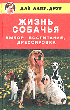 81981-1100748
