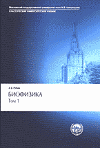94194-5262098