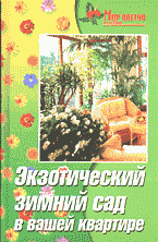 99906-6577976