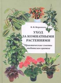 club_48451-4484399